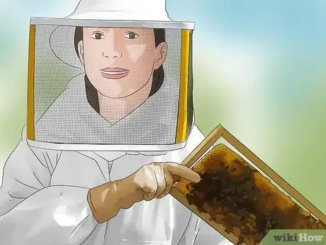 Image titled Become a Beekeeper Step 11