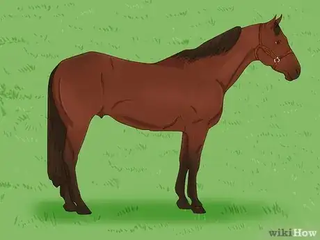 Image titled Prepare to Ride a Horse Step 16