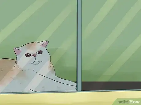 Image titled Take Care of an Exotic Shorthair Cat Step 9