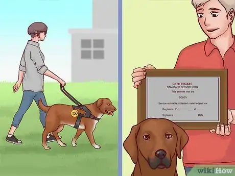 Image titled Register Your Dog As a Service Dog Step 7