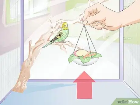 Image titled Feed Budgies Step 11