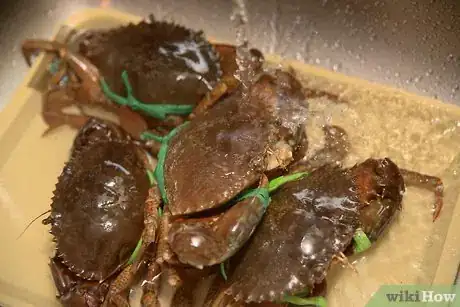 Image titled Cook Mud Crab Step 2