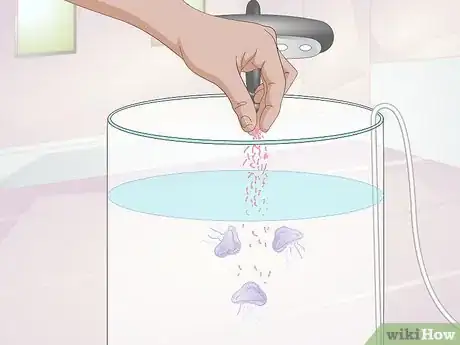 Image titled Start a Jellyfish Tank Step 15