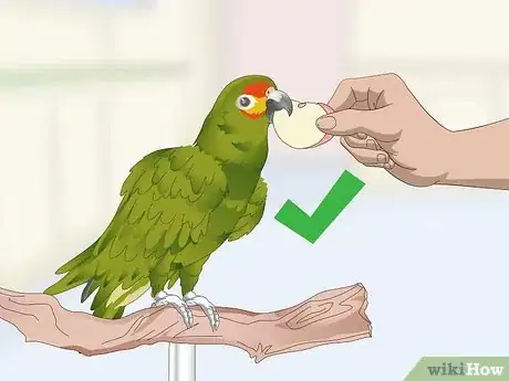 Image titled Deal with an Aggressive Amazon Parrot Step 10