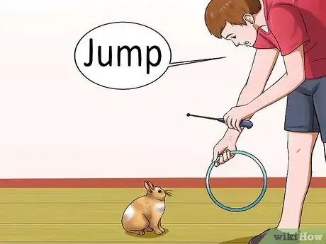 Image titled Teach Your Rabbit to Jump over Something Step 13