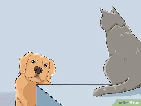 Image titled Introduce a Cat to a Dog Step 4