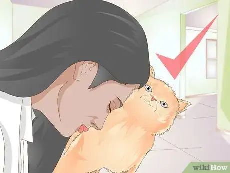 Image titled Teach Your Cat to Kiss Step 15