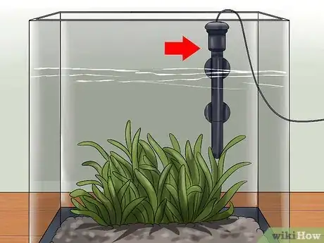 Image titled Keep a Betta's Water Warm Step 1