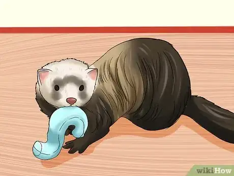 Image titled Train a Ferret Not to Bite Step 3