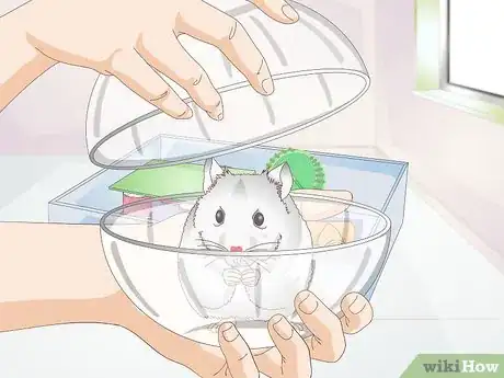 Image titled Make a Hamster Playpen Step 10