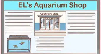Start an Aquarium Shop