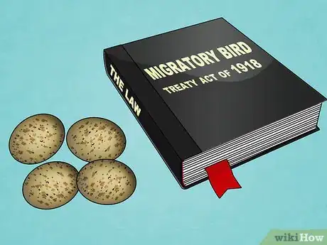 Image titled Find and Take Care of Wild Bird Eggs Step 1