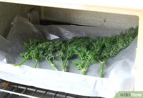 Image titled Dry Dill Step 16