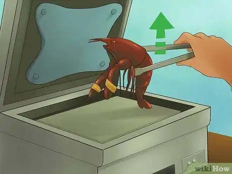 Image titled Kill Lobster Step 12