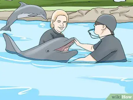 Image titled Pet a Dolphin Step 1