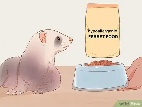 Image titled Treat Diarrhea in Ferrets Step 10