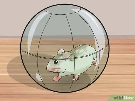 Image titled Make Dwarf Hamsters Stop Biting the Cage Step 1