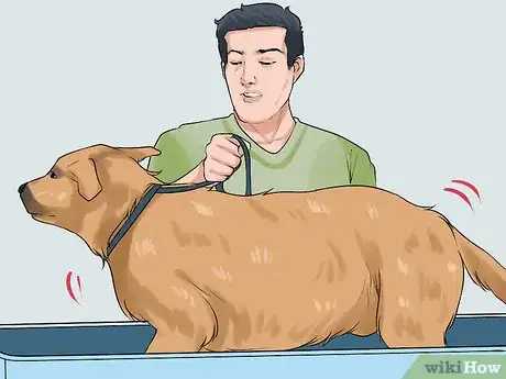 Image titled Give a Stubborn Dog a Bath Step 9