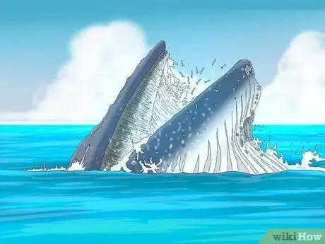 Image titled Why Do Whales Breach Step 5