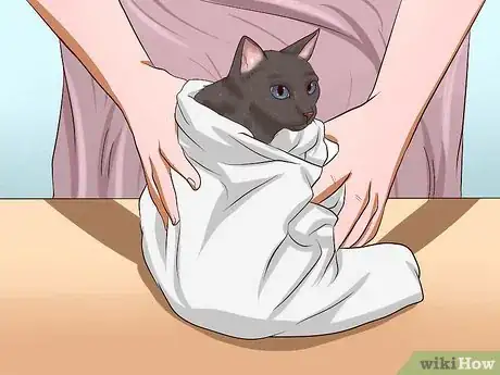 Image titled Clean Your Cat When He Can't Do It Himself Step 33