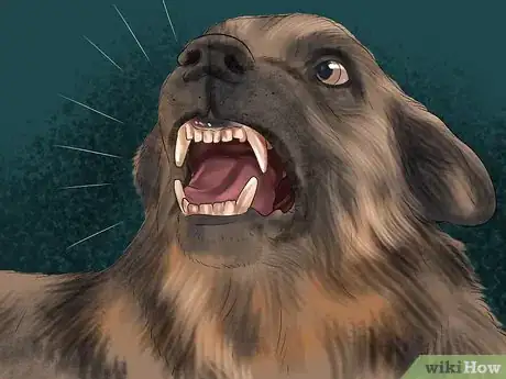 Image titled Know if Your Senior Dog Is in Pain Step 1