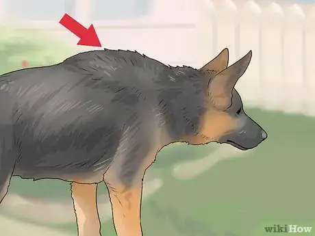 Image titled Tell if a Dog Is Going to Attack Step 8