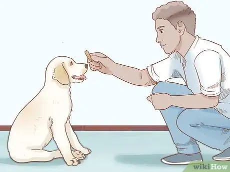 Image titled Take Care of a Dog Step 15