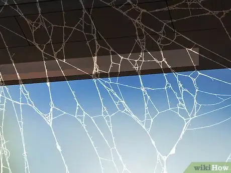 Image titled Identify a Cobweb Spider Step 6