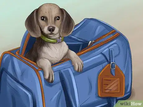 Image titled Adopt a Dog from Overseas Step 11