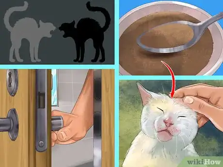 Image titled Retrain a Cat to Use the Litter Box Step 17