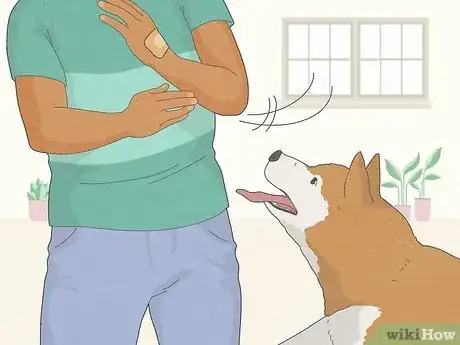 Image titled What Happens if a Dog Licks Human Blood Step 6