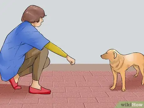 Image titled Gain the Trust of a Stray Dog Step 1