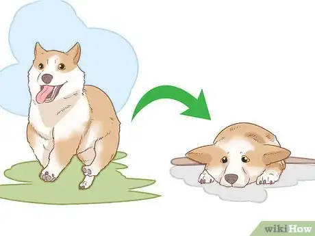 Image titled Tell if Your Dog Is Depressed Step 2