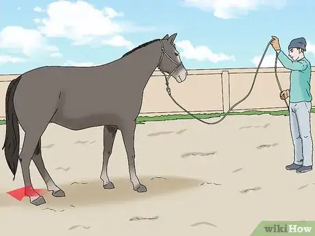 Image titled Teach Your Horse to Back up from the Ground Step 9