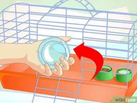Image titled Clean a Guinea Pig Cage Step 9