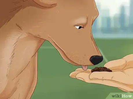 Image titled Stop a Dog from Eating Too Fast Step 9