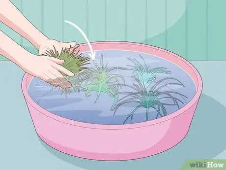 Image titled Water Air Plants Step 2