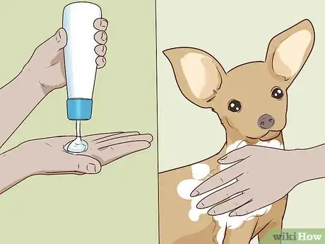 Image titled Wash a Chihuahua Step 7