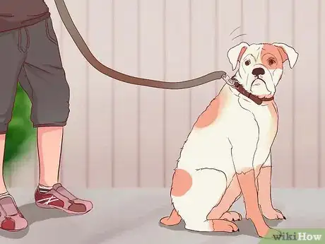 Image titled Stop a Dog from Pulling on Its Leash Step 4