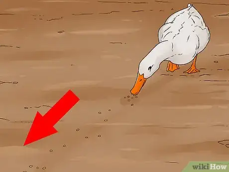 Image titled Catch a Duck Step 13