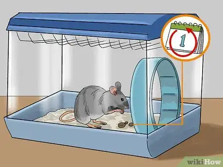 Image titled Feed a Pet Mouse Step 5