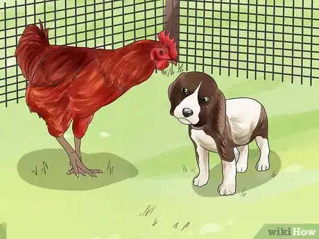 Image titled Train a Dog to Protect Chickens Step 7