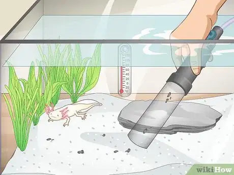 Image titled Set Up an Axolotl Tank Step 13