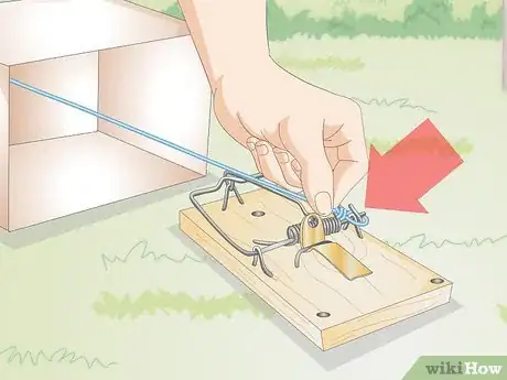 Image titled Make a Bird Trap Step 17