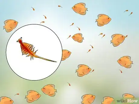 Image titled Breed Discus Step 14