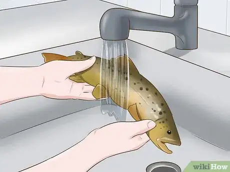 Image titled Clean a Trout Step 1