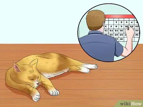 Image titled Help Cats to Sleep at Bedtime Step 1