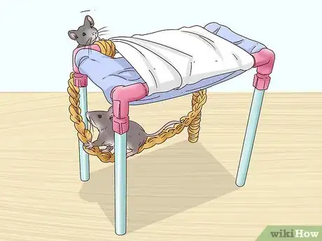 Image titled Keep Multiple Pet Mice Step 15