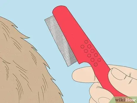 Image titled Treat Flea Bites on Dogs Step 4