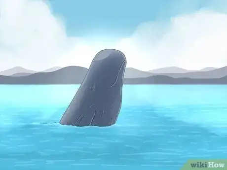 Image titled Why Do Whales Breach Step 3